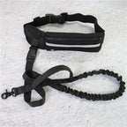 Hands Free Dog Leash Pet