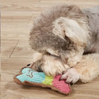 Dog Squeaky Plush Chew Toy