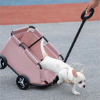 Pet Stroller Dog Cat Trolley Out Small Pet Cart Portable Foldable Storage Car