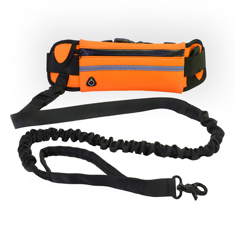 Hands Free Dog Leash Pet
