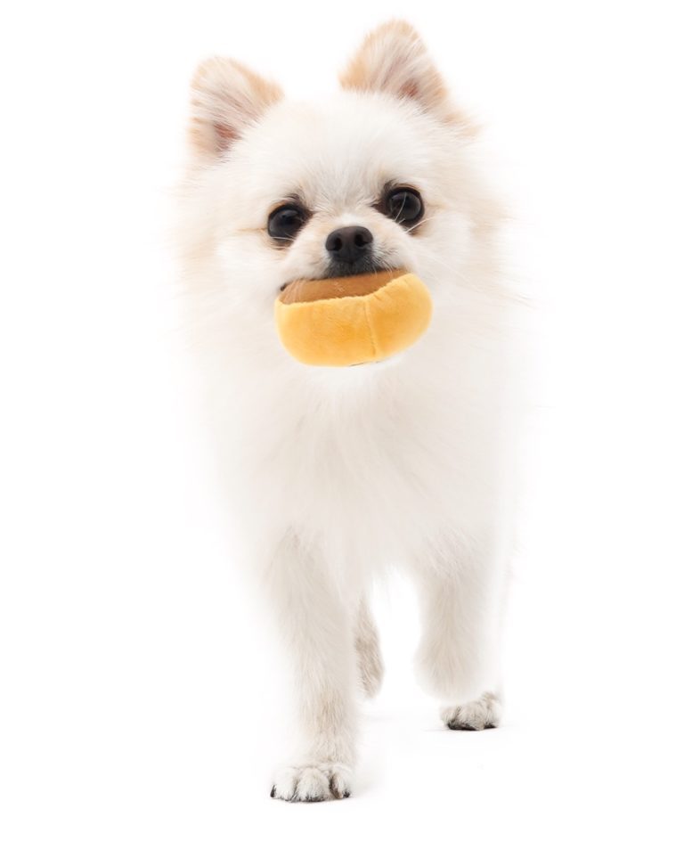 Mushroom Tibetan Food Vocal Toy Set Dog Secondary image