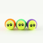 Outdoor Pet Throwing Cue Dog Training Toy