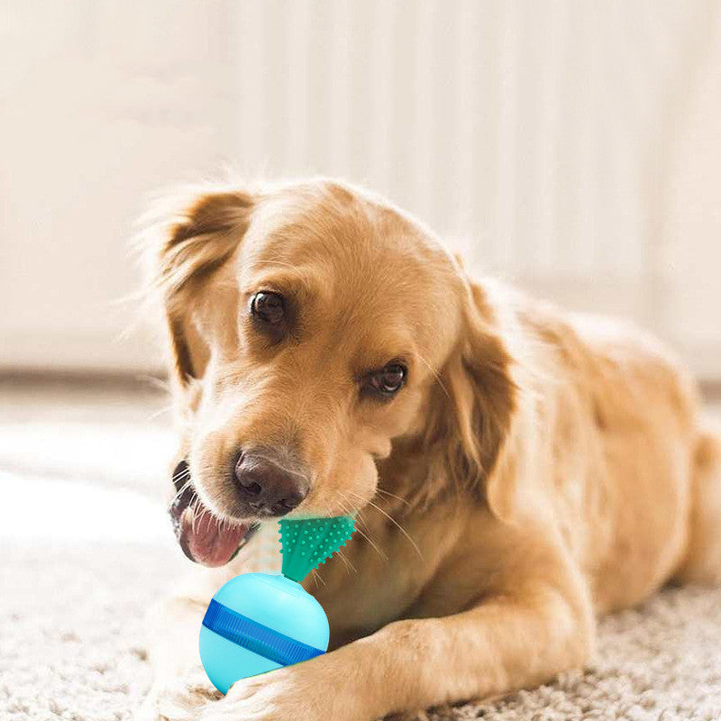 Pet Does Not Fall Down The Leakage Of Food Ball Toys Main image