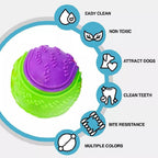 Scooby-Doo Durable Squeaky Set Of 8 Dog Balls For Teeth Cleaning Interactive UK