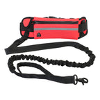 Hands Free Dog Leash Pet