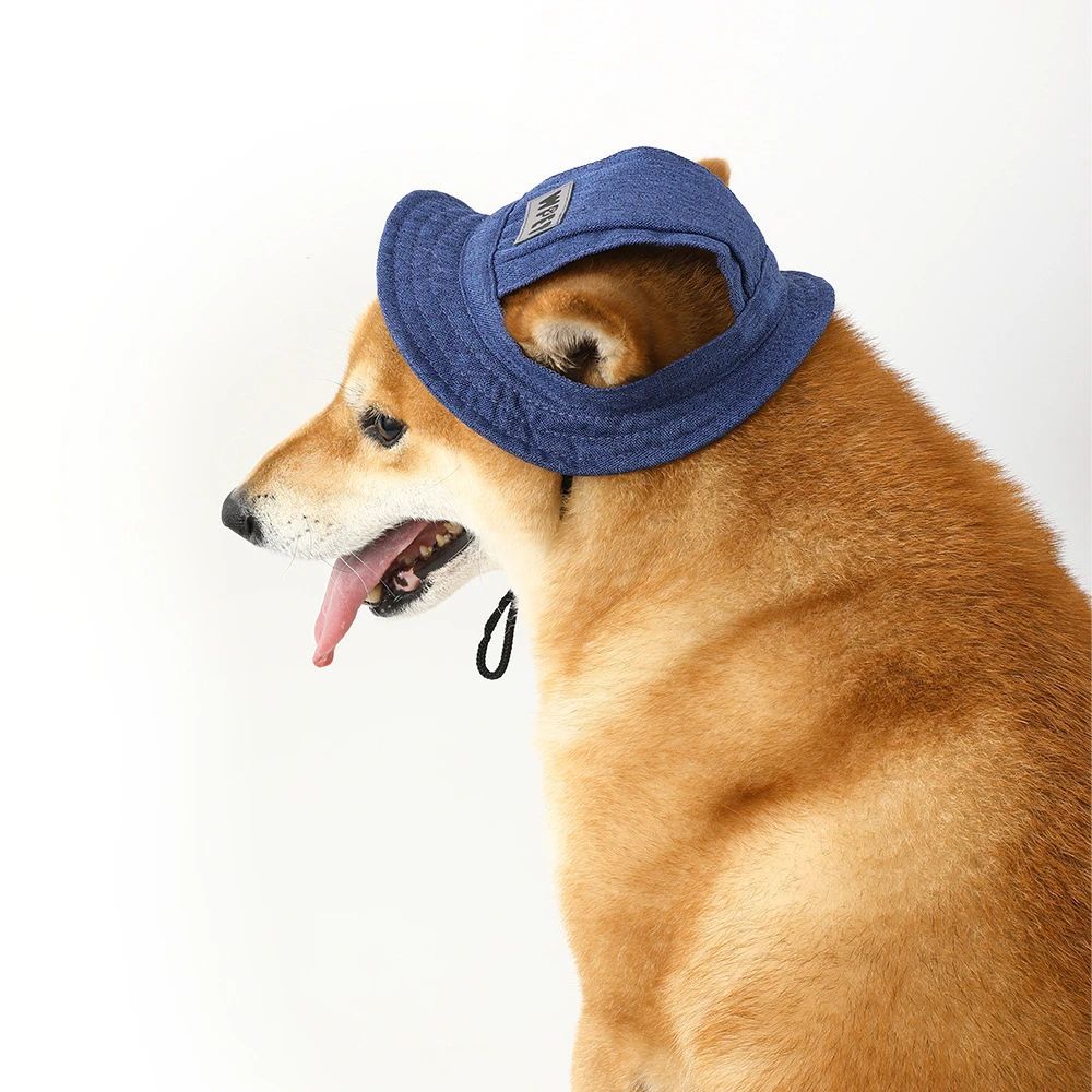 Pet Hat With Ear Holes For Medium