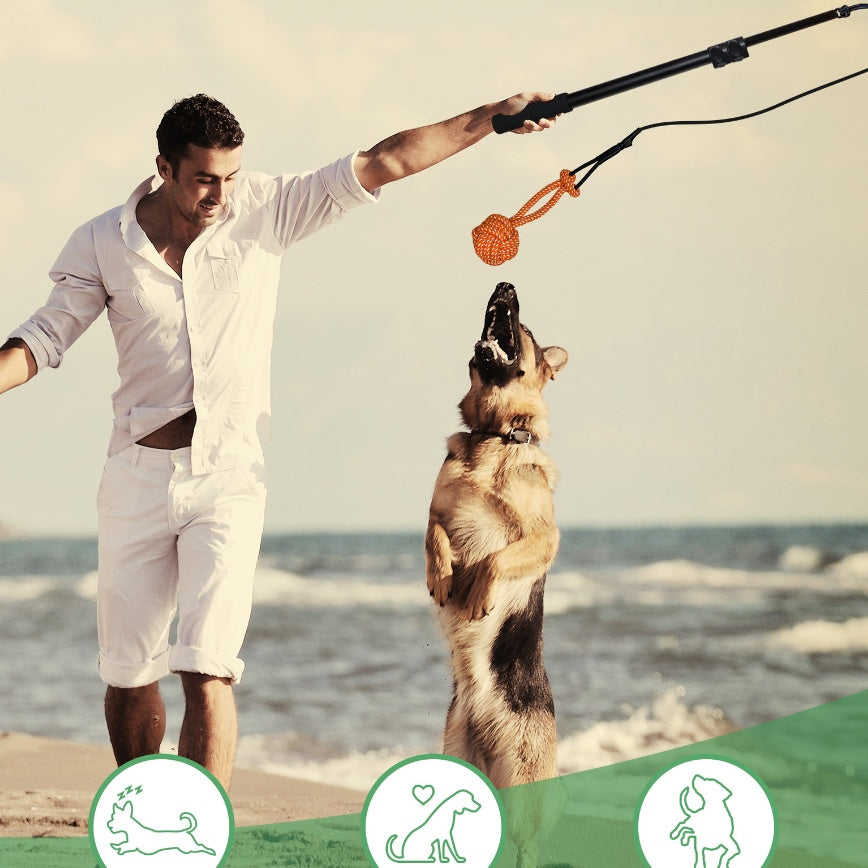 Telescopic Funny Dog Stick Cat Teaser Pet Training Rod Main image