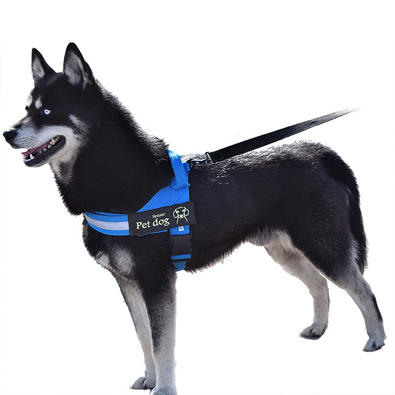 Dog Walking Chain Leash