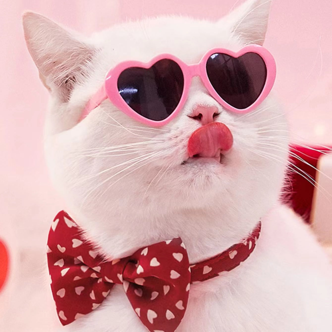 Doll Sunglasses Pet Toy Accessories Main image