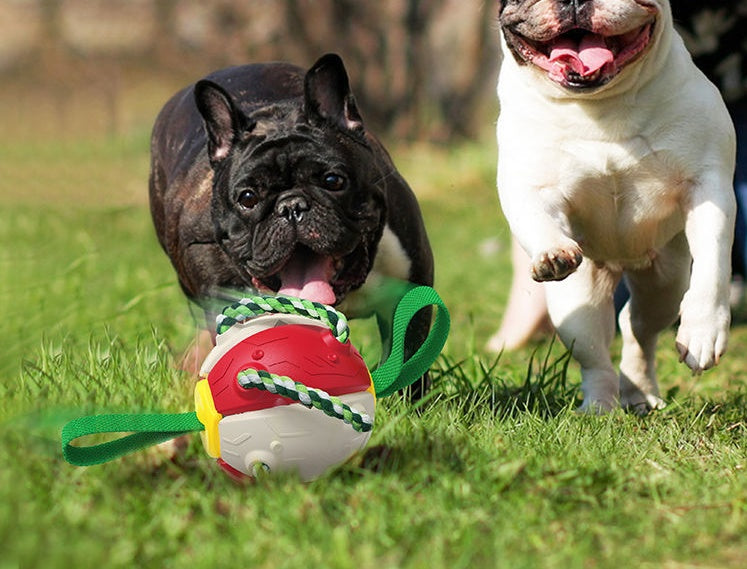 Interactive Dog Football Soccer Ball With Tabs Inflated Training Toy Outdoor Border Collie Balls Pet Products Secondary image