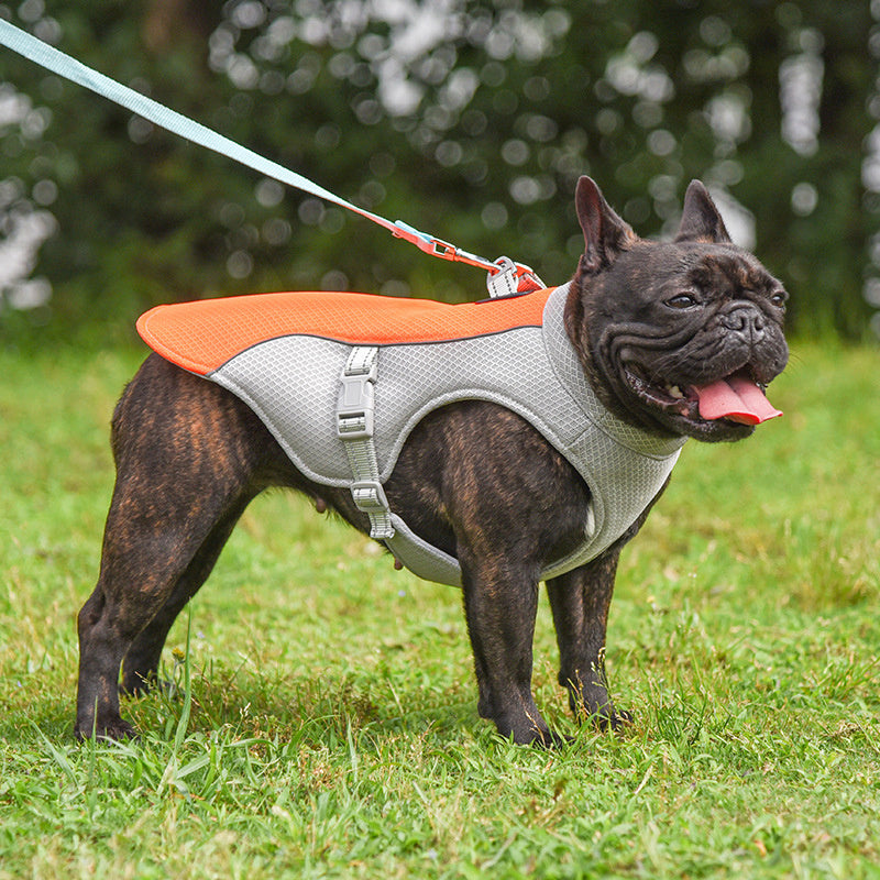 Summer Pet Outdoor Breathable Cooling Vest Main image